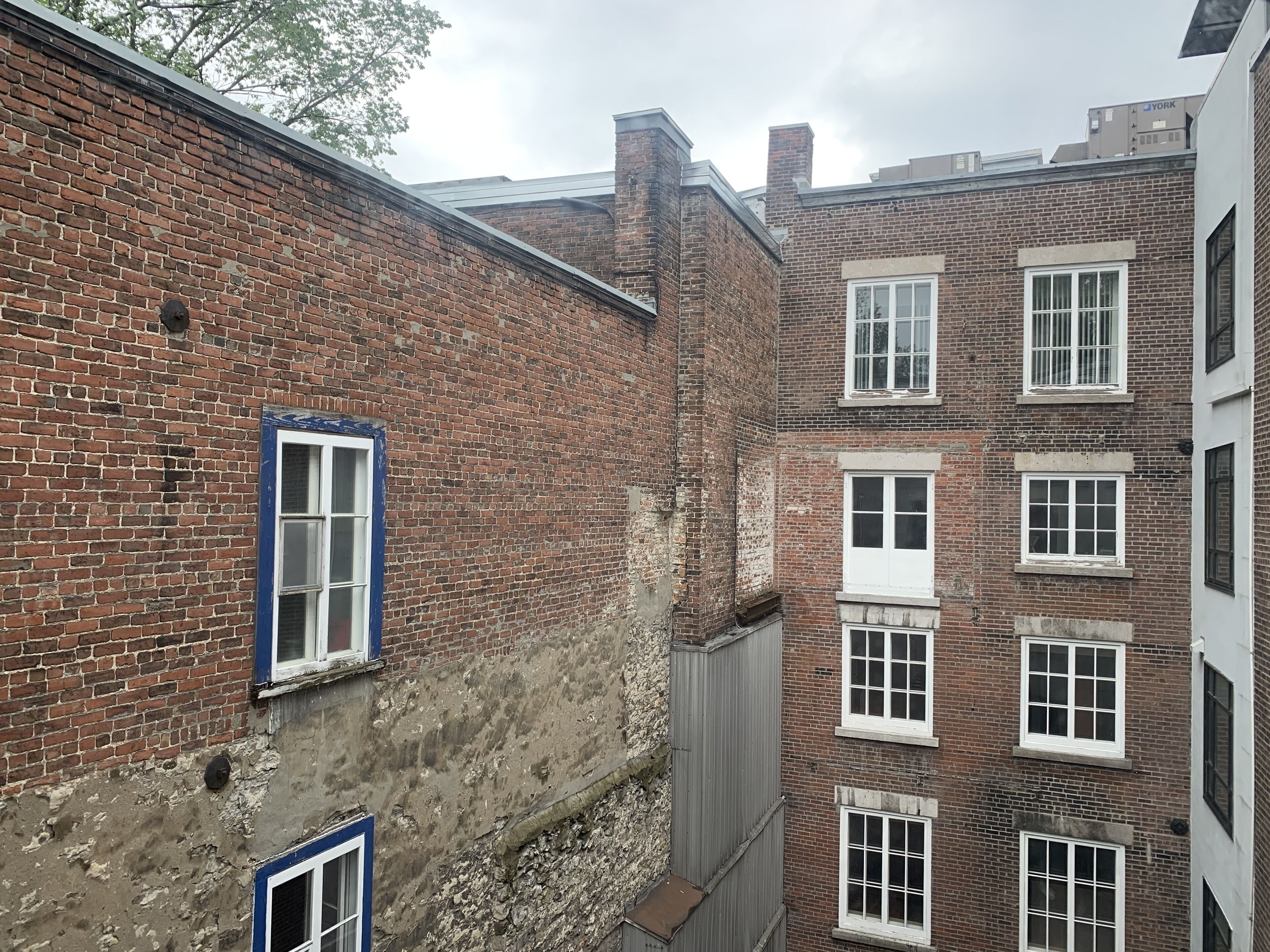 junior room, 2 queen beds | view from room