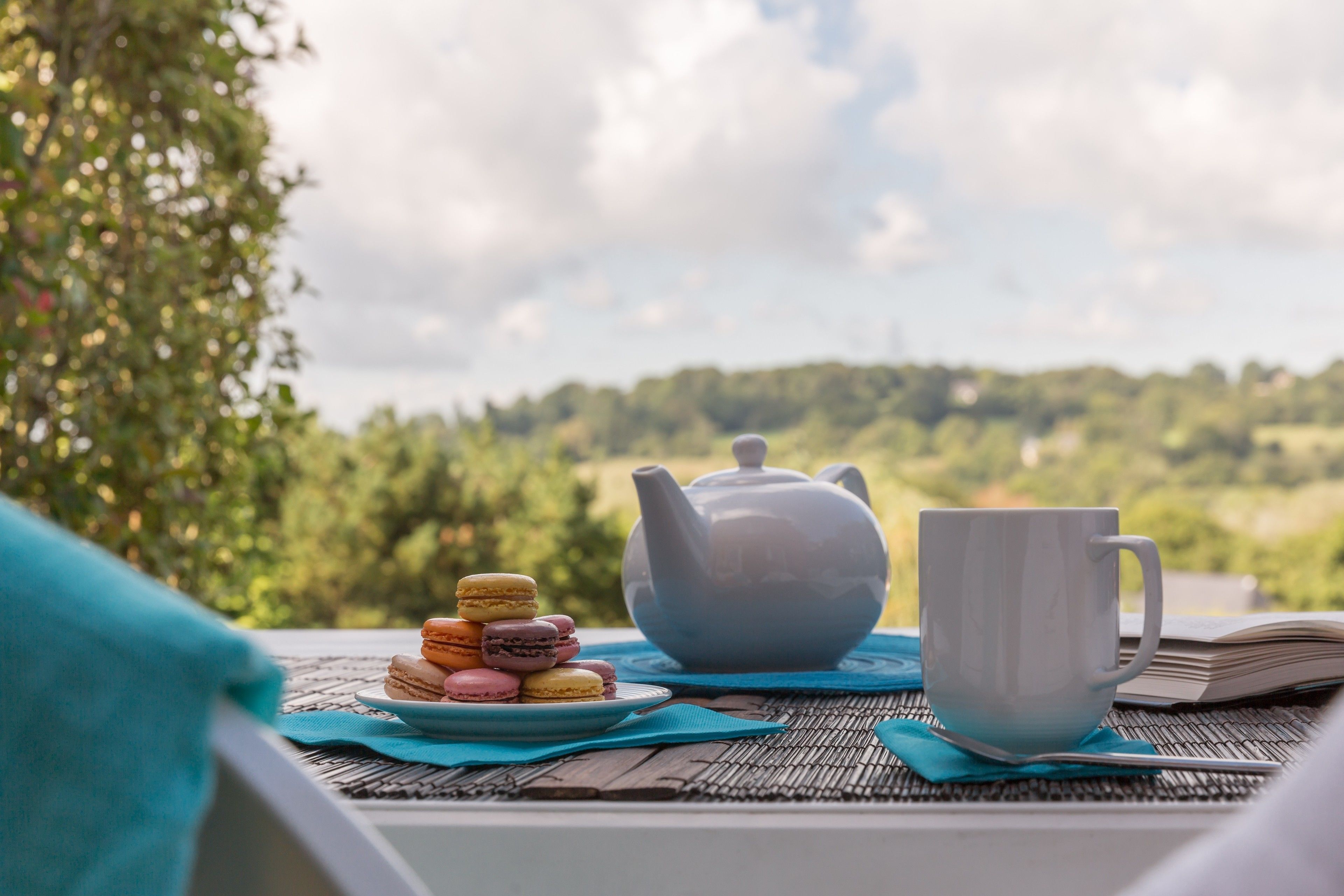 Une table avec une théière, une tasse et des macarons, disposés sur un tapis, avec en toile de fond un paysage verdoyant.