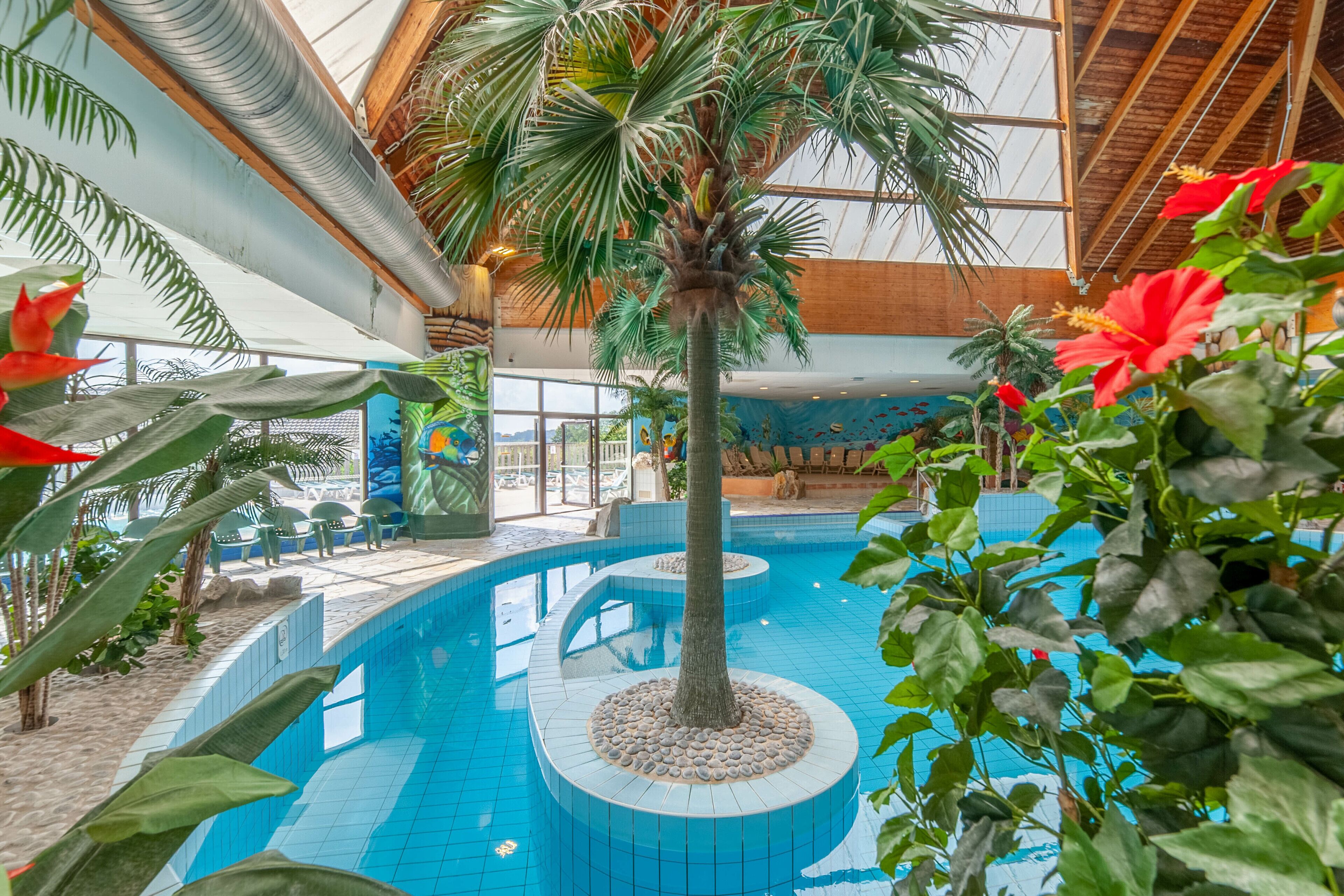 Indoor pool, outdoor pool, pool umbrellas, sun loungers