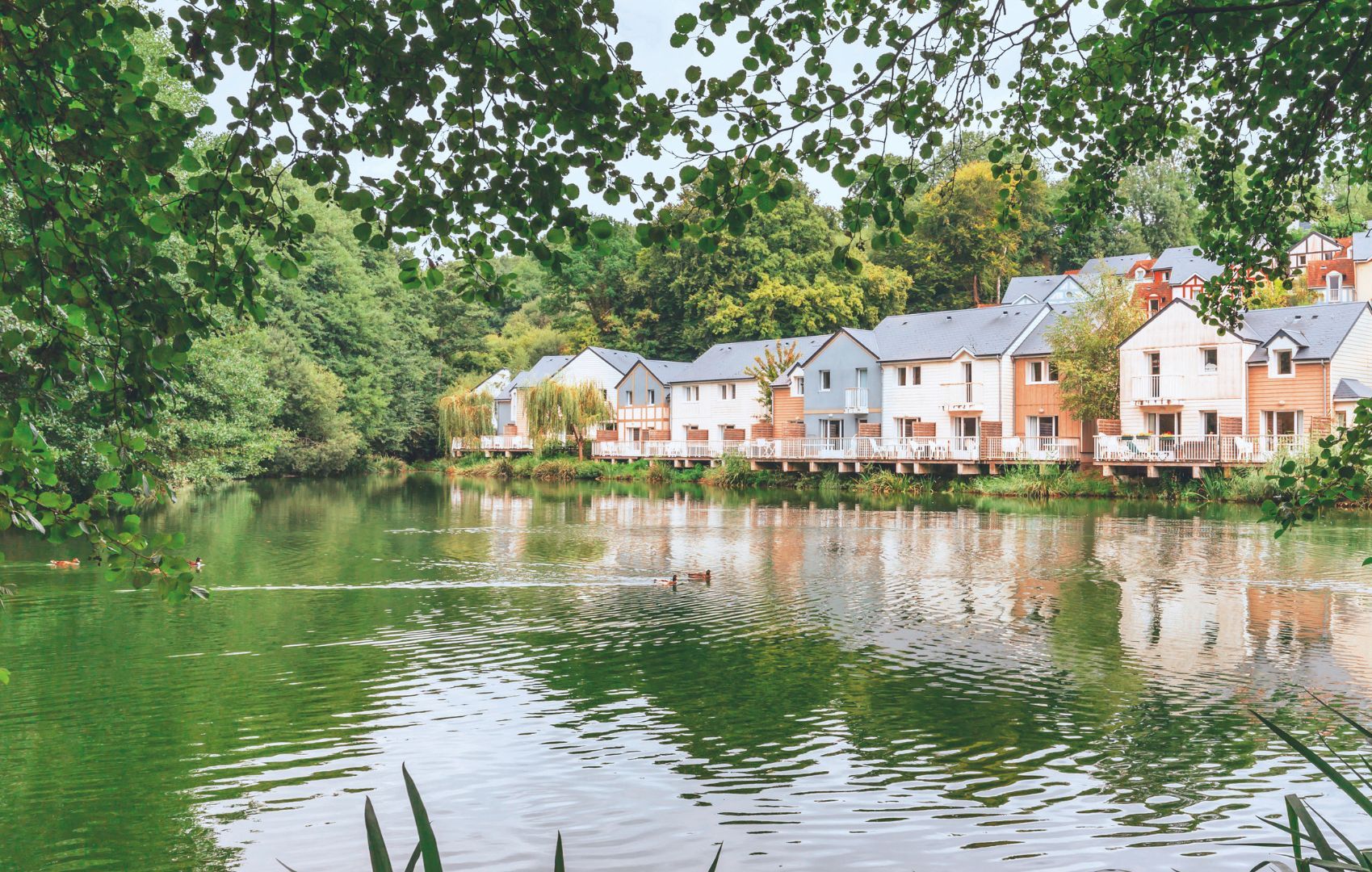 Una hilera de casas junto a un lago tranquilo, rodeadas de abundante vegetación.