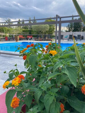 Zona de piscina con una estructura de pérgola, rodeada de follaje y mobiliario exterior.