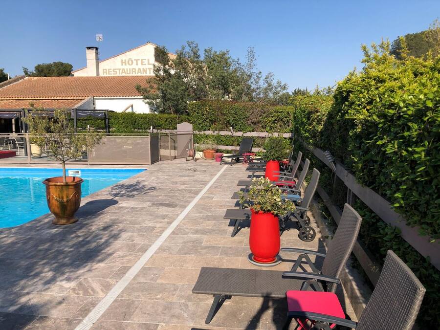 Un área junto a la piscina con sillones de descanso y una planta grande en maceta.