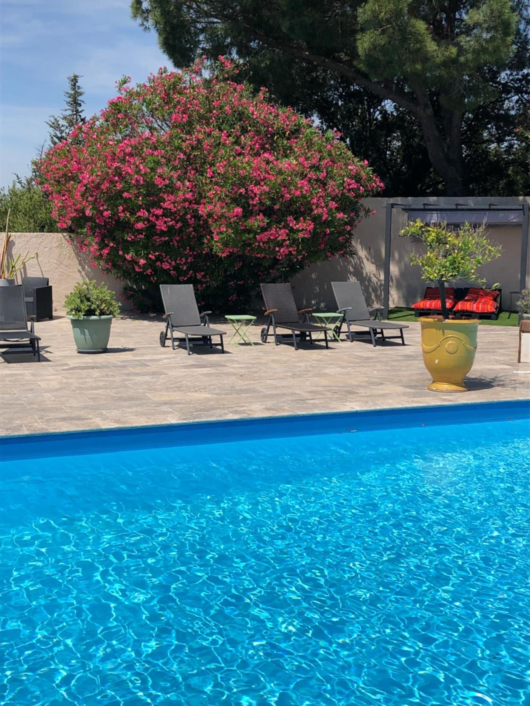 A swimming pool with lounge chairs and potted plants.