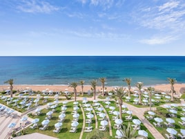 Un resort con vista a la playa, filas de tumbonas y palmeras.