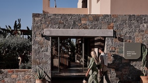 A stone facade with a glass entrance, a potted plant, and a sign reading "PARALOS IRINI MARE". - Paralos Irini Mare (Agios Vasileios)