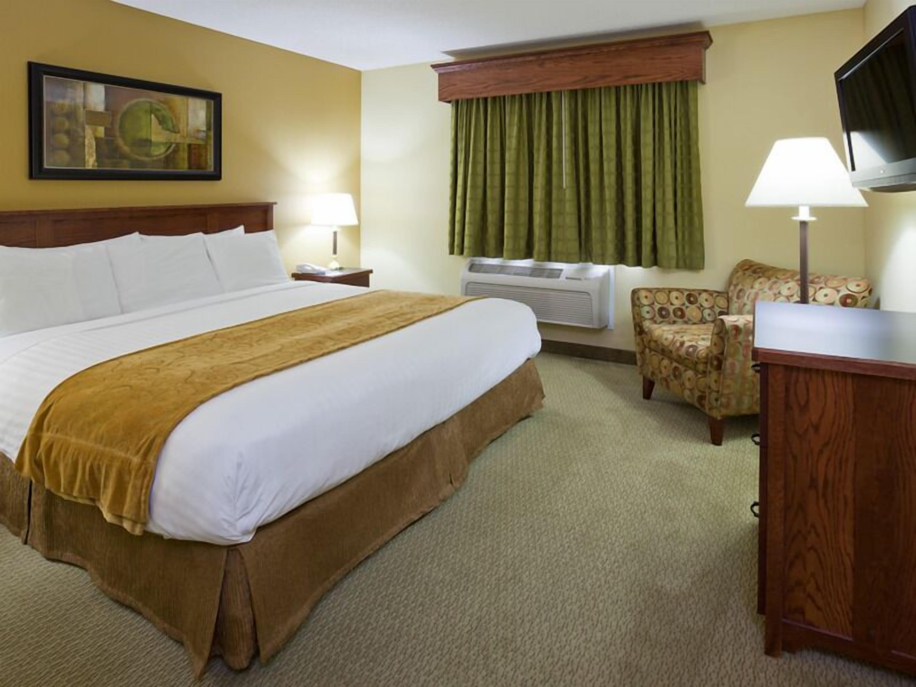 Room, 1 King Bed with Sofa bed