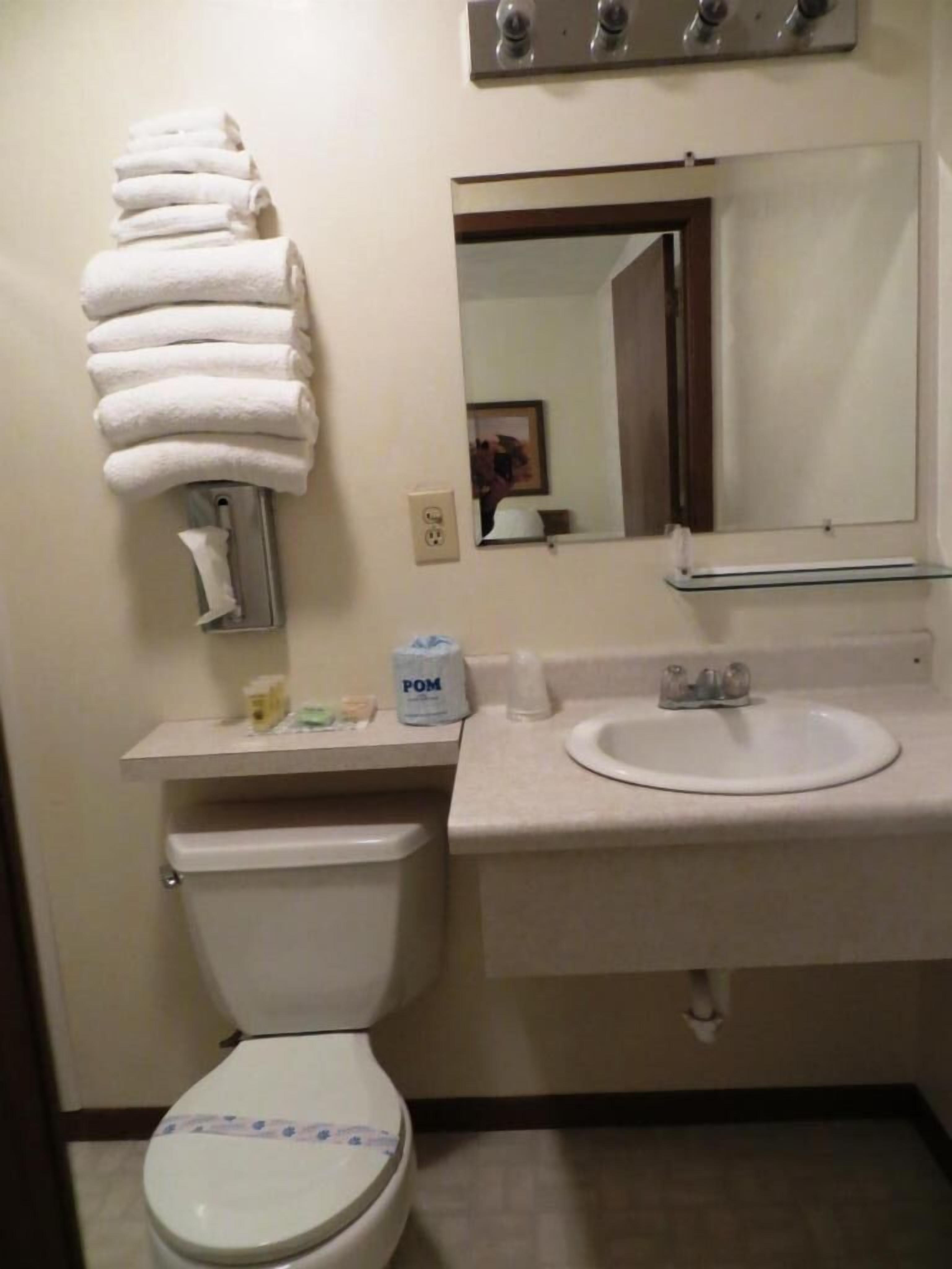 A bathroom with a toilet, sink, and towel rack.