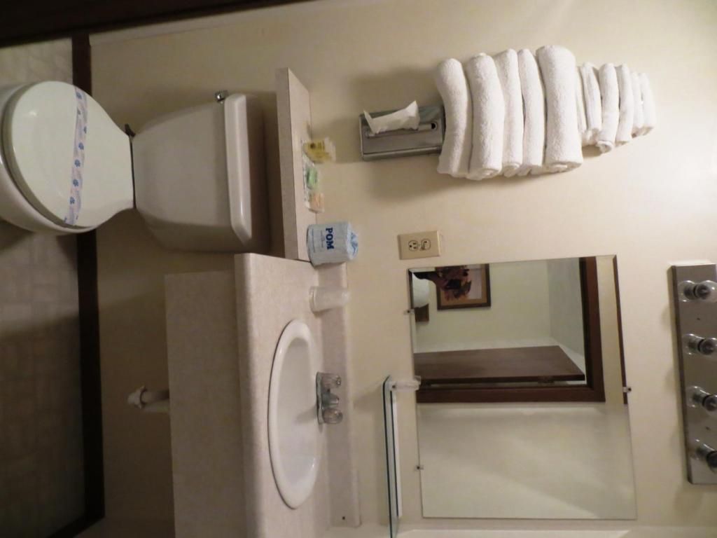Een badkamer met toilet, wastafel, spiegel en handdoekhouder.