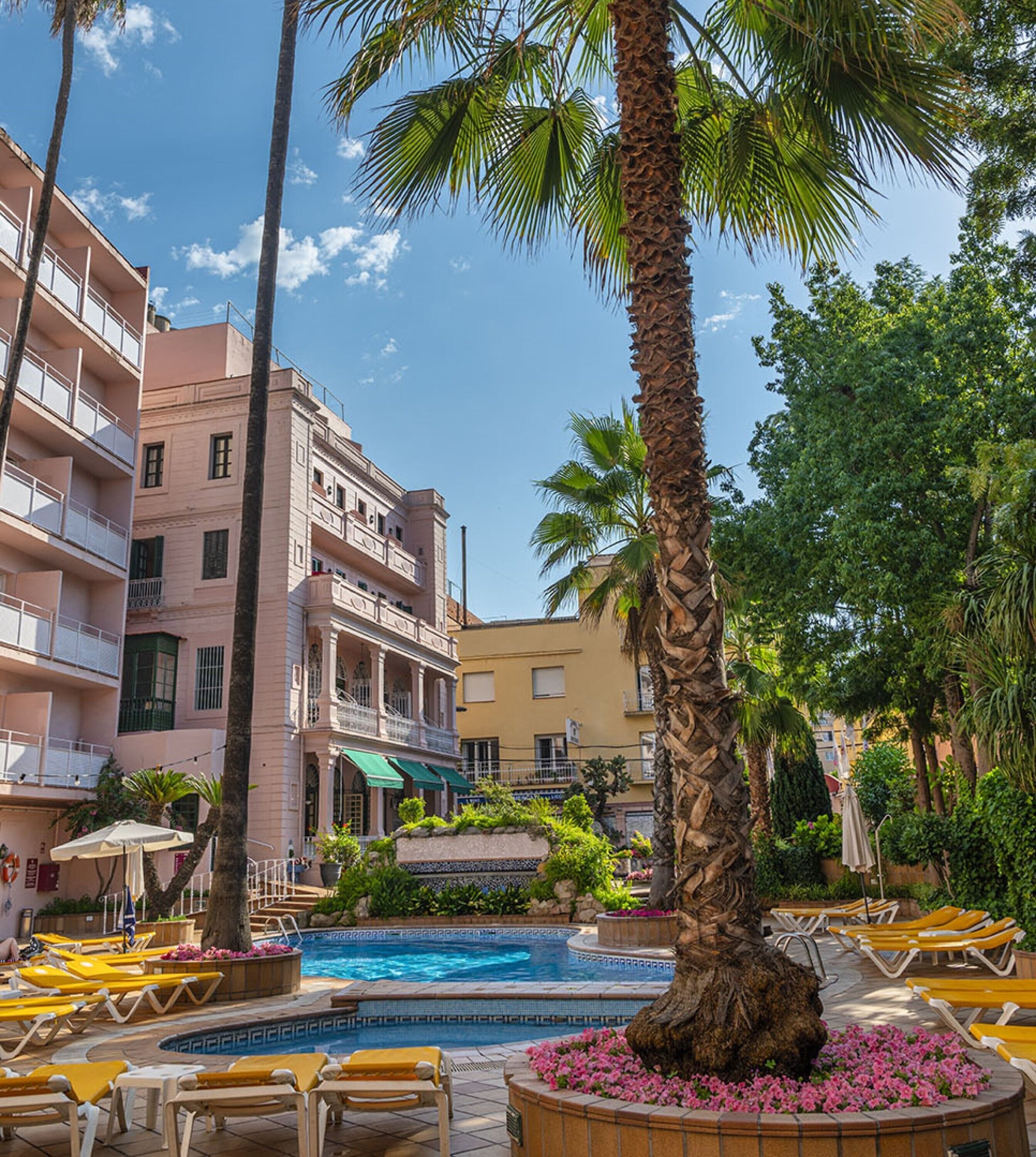 A pool area with sun loungers, a palm tree, and a building with balconies.