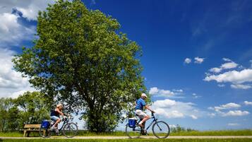 Two people riding bicycles on a path with a large tree and a bench in the background.