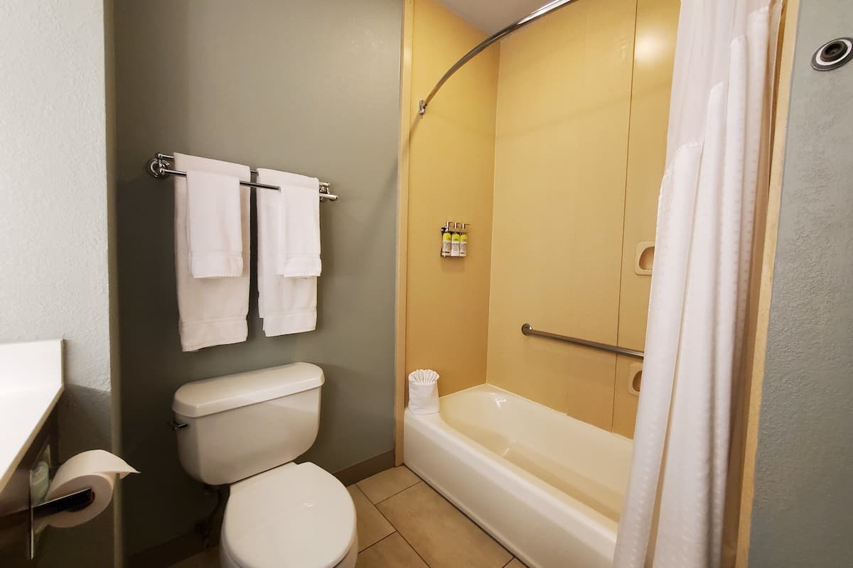 combined shower/bathtub, hair dryer, towels