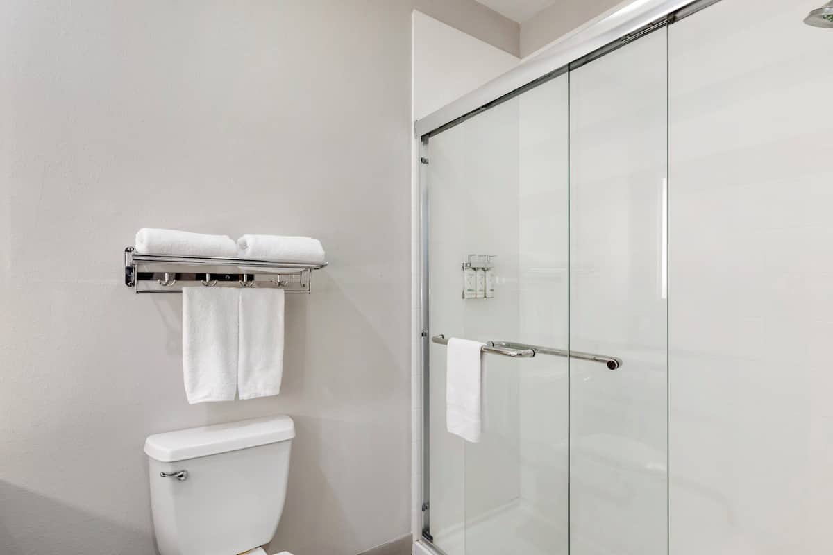 Une salle de bain moderne avec une douche à parois de verre, des toilettes et un porte-serviettes avec deux serviettes.
