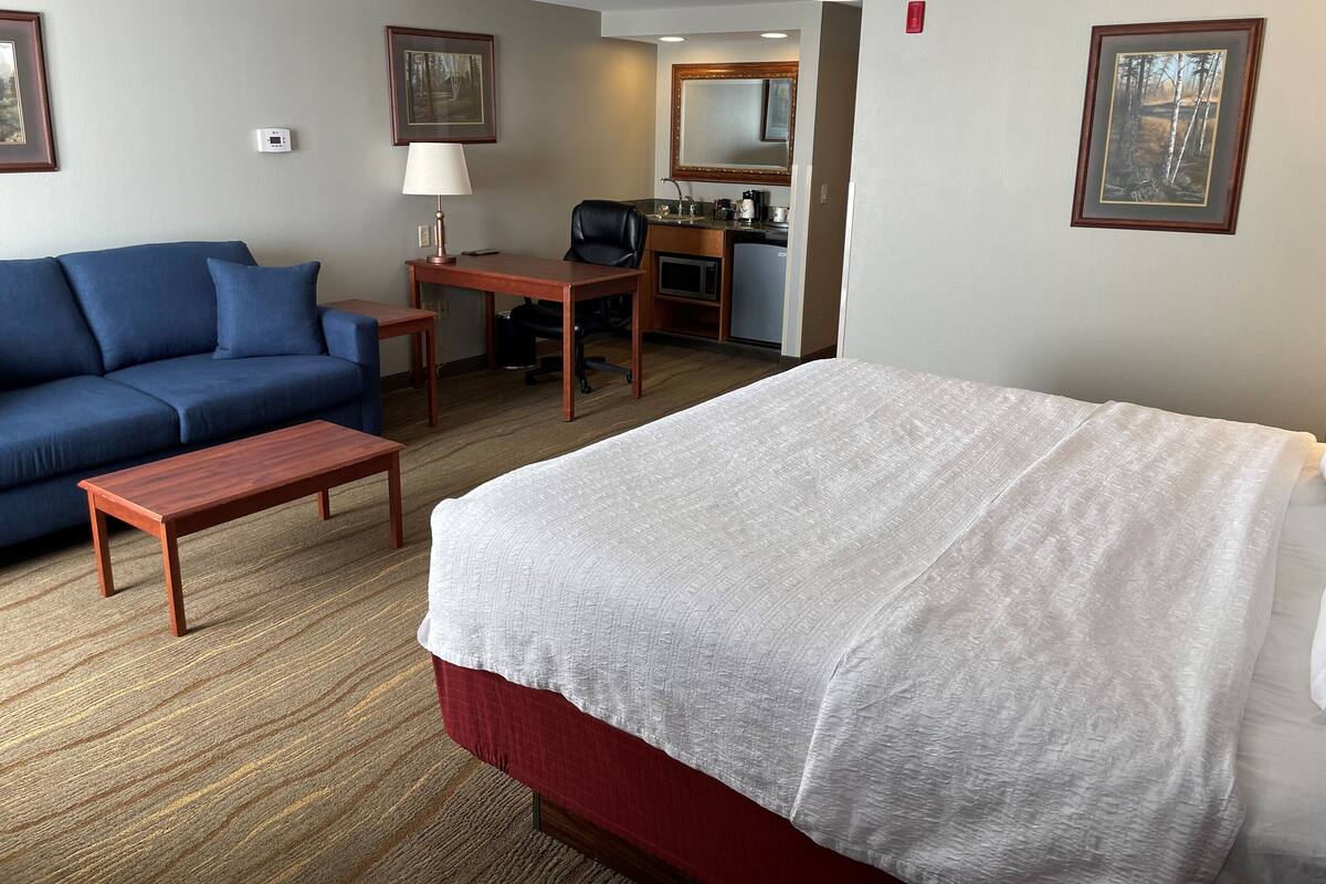 A hotel room with a bed, a sofa, a desk, and a chair.