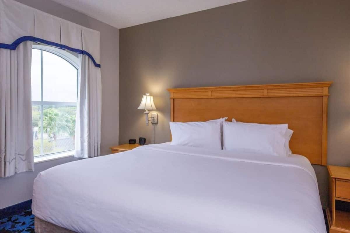 A hotel room with a large bed, a nightstand with a lamp, a window with curtains, and a view of greenery outside.