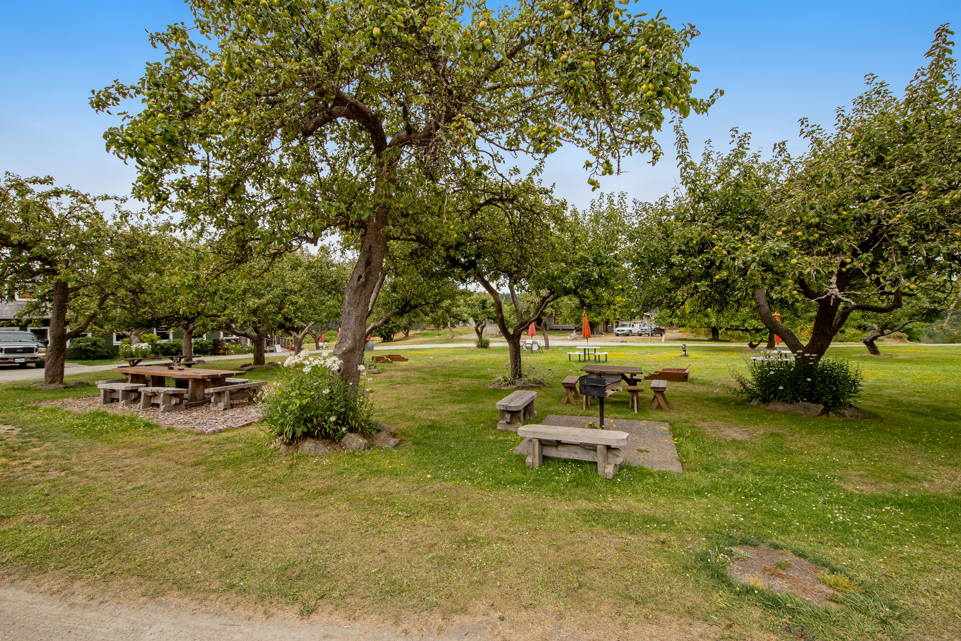 A park with picnic tables and benches, surrounded by trees and grass.