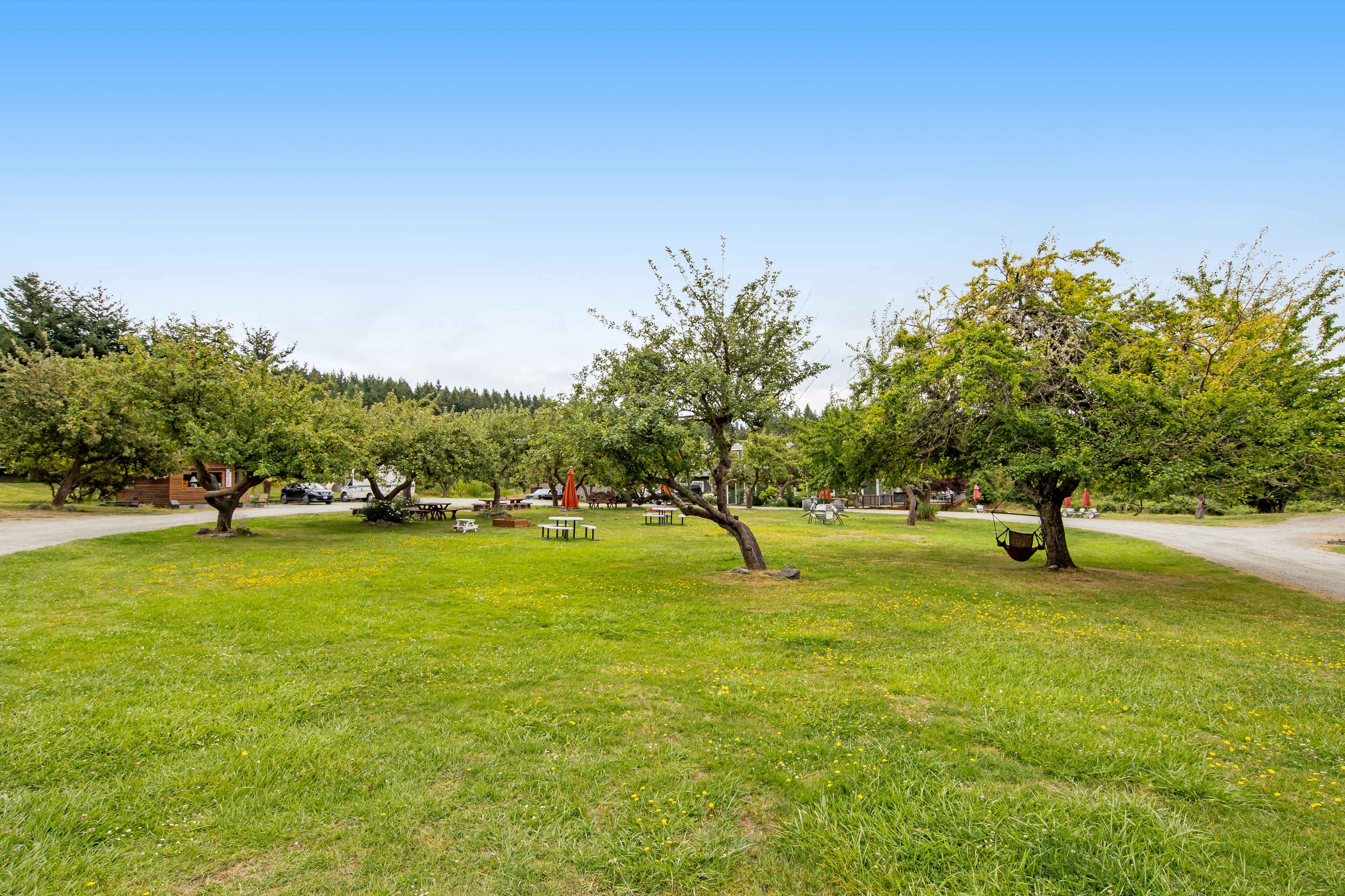 Un parque con mesas de picnic y bancos, rodeado de árboles y un cielo despejado.