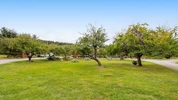 Un parque con mesas de picnic y bancos, rodeado de árboles y un cielo despejado.