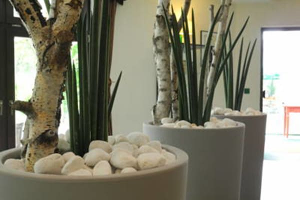 Entrada (vista interna)