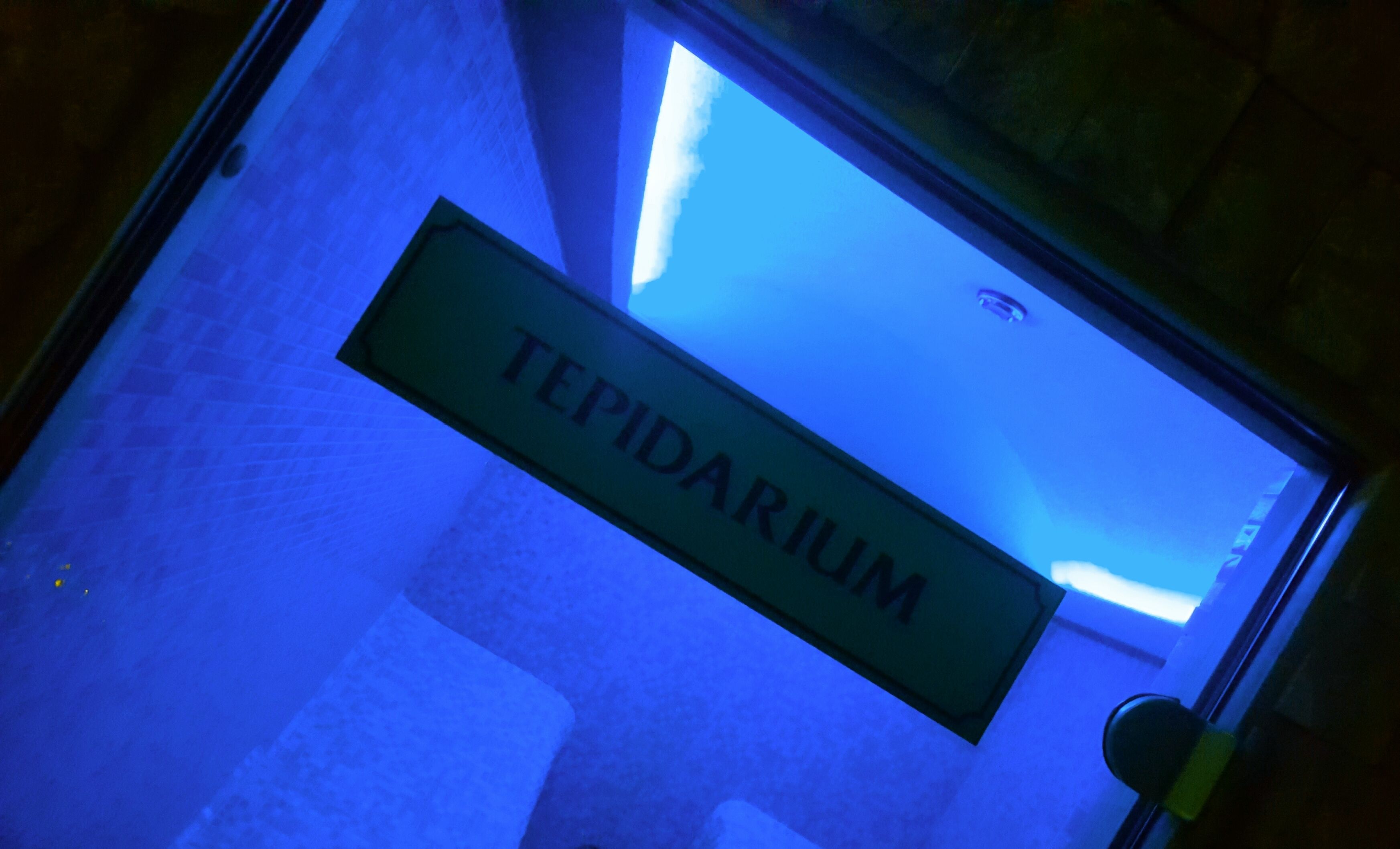 Een bord met de tekst 'TEPIDARIUM' in een kamer met blauwe tinten.