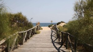 A wooden boardwalk leading to a beach, surrounded by dense shrubbery.