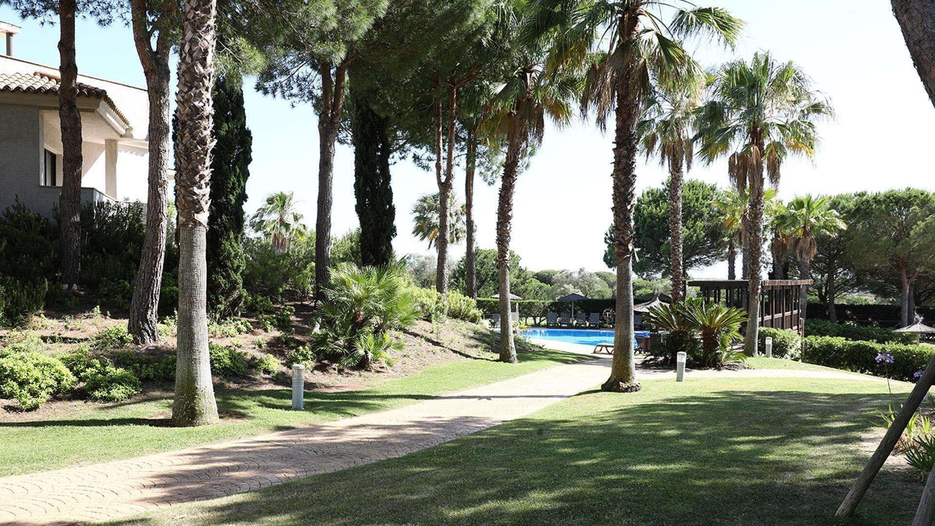 Un sendero conduce a una zona de piscina rodeada de palmeras y follaje, con un edificio a la izquierda.