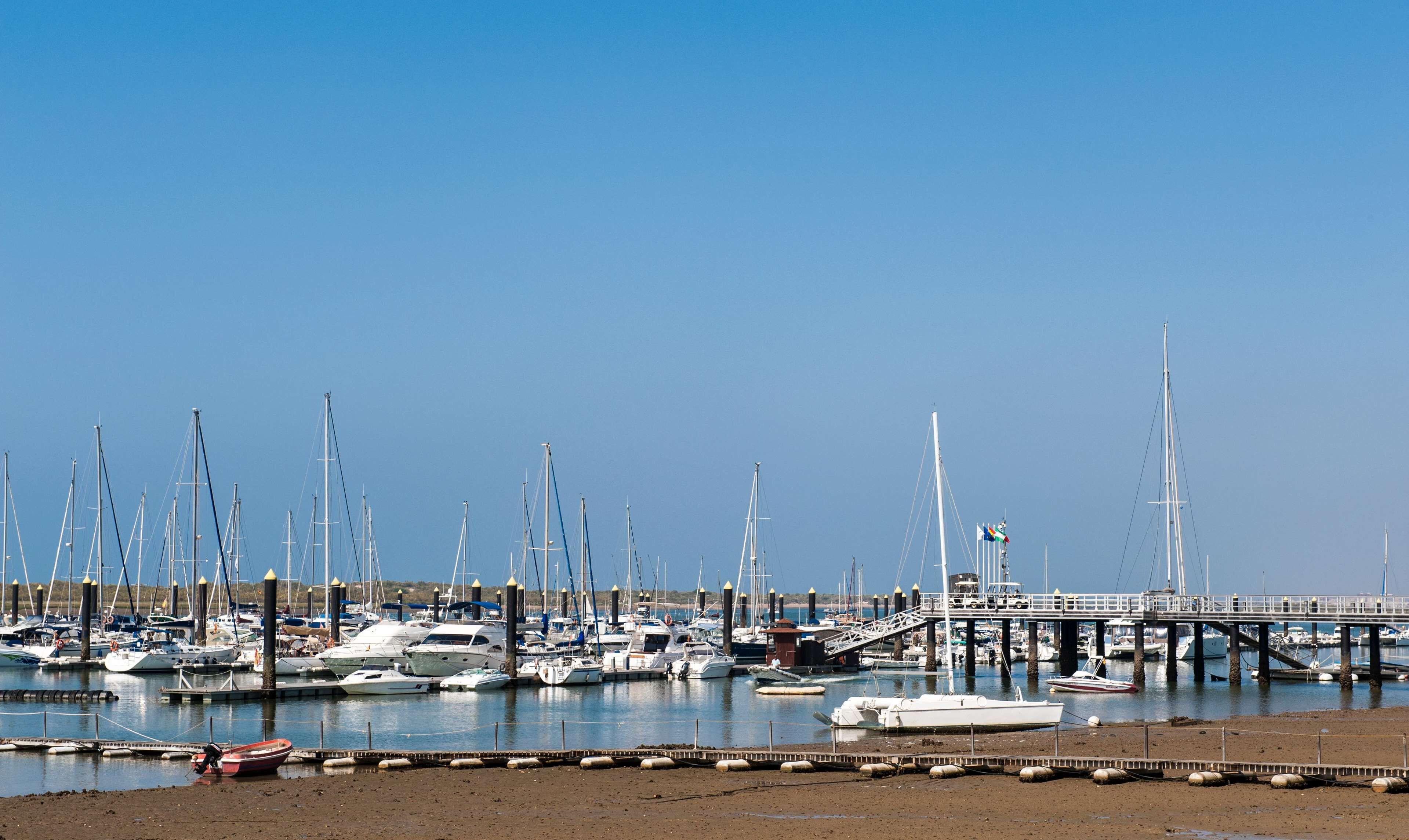 Un port de plaisance où sont amarrés de nombreux bateaux, une jetée et un ciel bleu azur.