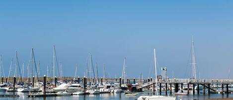 Un port de plaisance où sont amarrés de nombreux bateaux, une jetée et un ciel bleu azur.