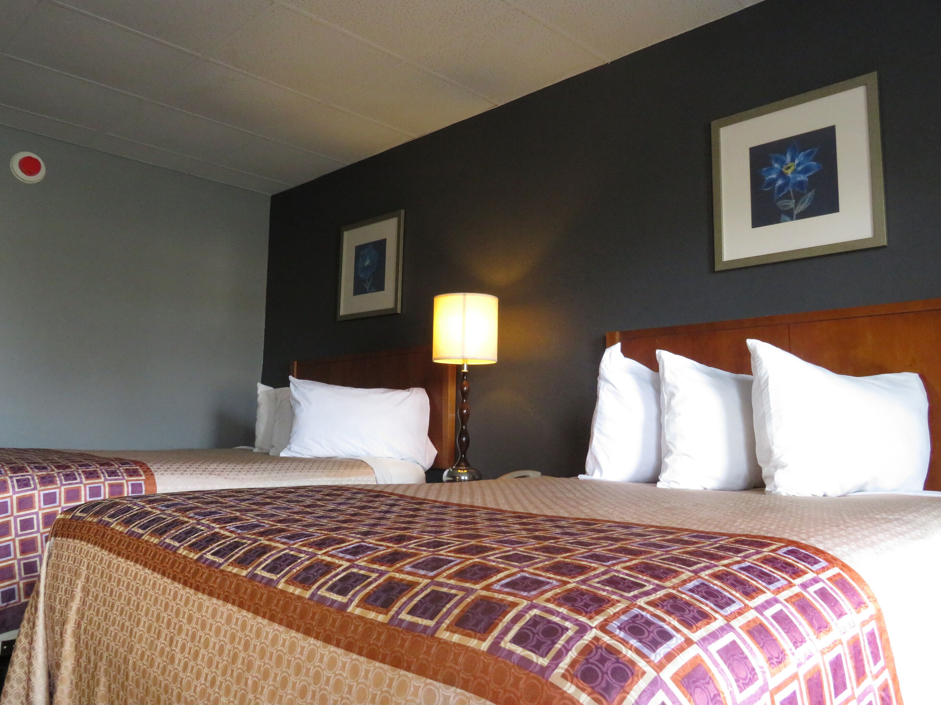 Una habitación de hotel con dos camas, una mesita de noche, una lámpara y dos cuadros en la pared.