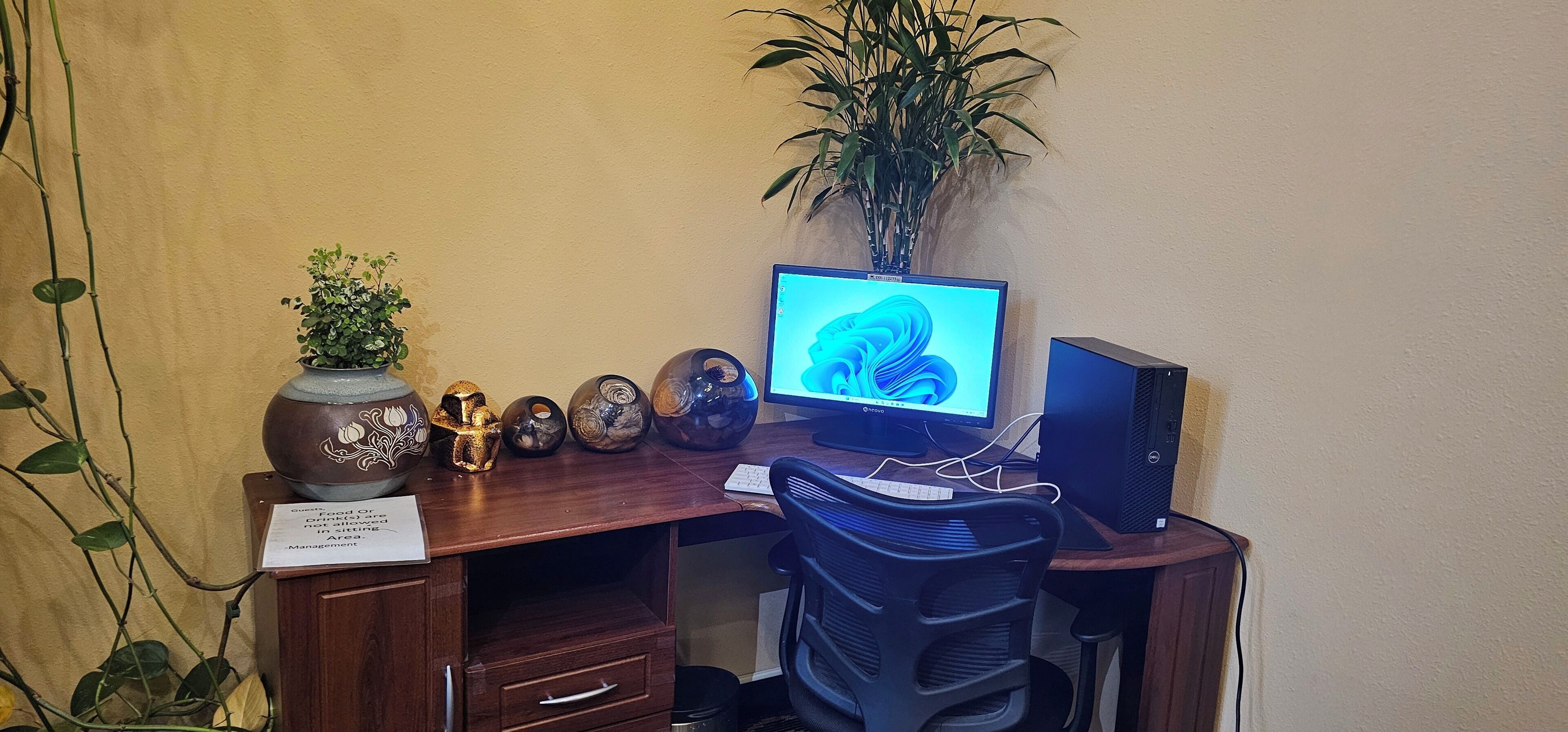 A wooden desk with a computer monitor, keyboard, and mouse. There are decorative items on the desk, including a vase with plants and a small statue. A potted plant is in the background.
