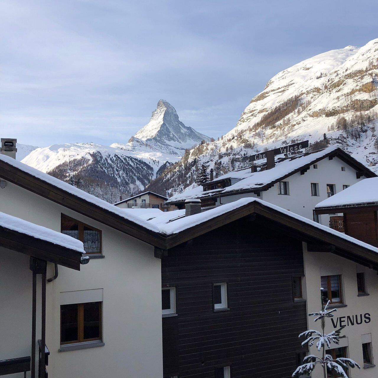 alpine roof suite | mountain view