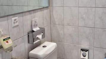 Ein modernes Badezimmer mit einer Granit-Arbeitsplatte, einem weißen Waschbecken, einer Toilette und einem Spiegel.