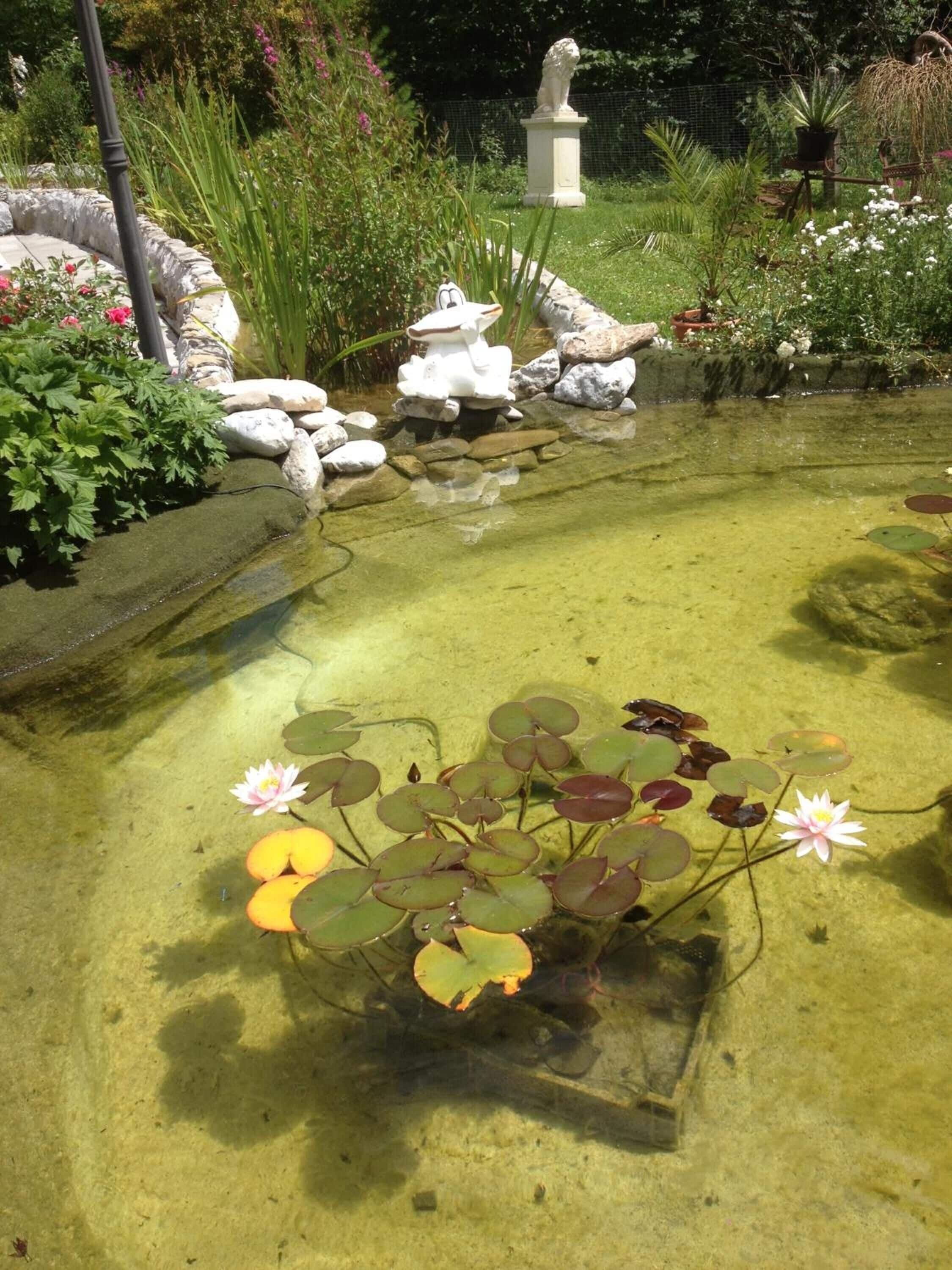 A garden pond with lily pads and a statue.