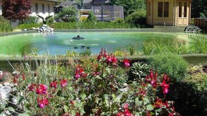 Ein friedlicher Garten mit Teich, umgeben von üppiger Vegetation und Blick auf das Gebirge.