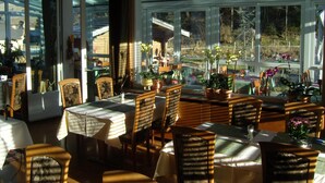 Ein Restaurant mit Tischen und Stühlen, großen Fenstern mit Aussicht auf die Natur und Blumentöpfen auf den Tischen.