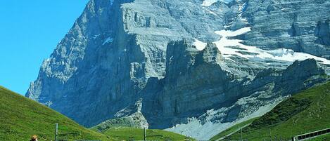 Un tren rojo sobre rieles, con montañas al fondo.