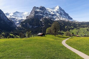 Paisaje de montaña con un sendero despejado que lleva a una cabaña.