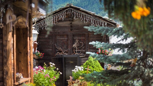 A rustic wooden cabin with a door, surrounded by potted plants and flowers. - Hotel Romantica (Zermatt)