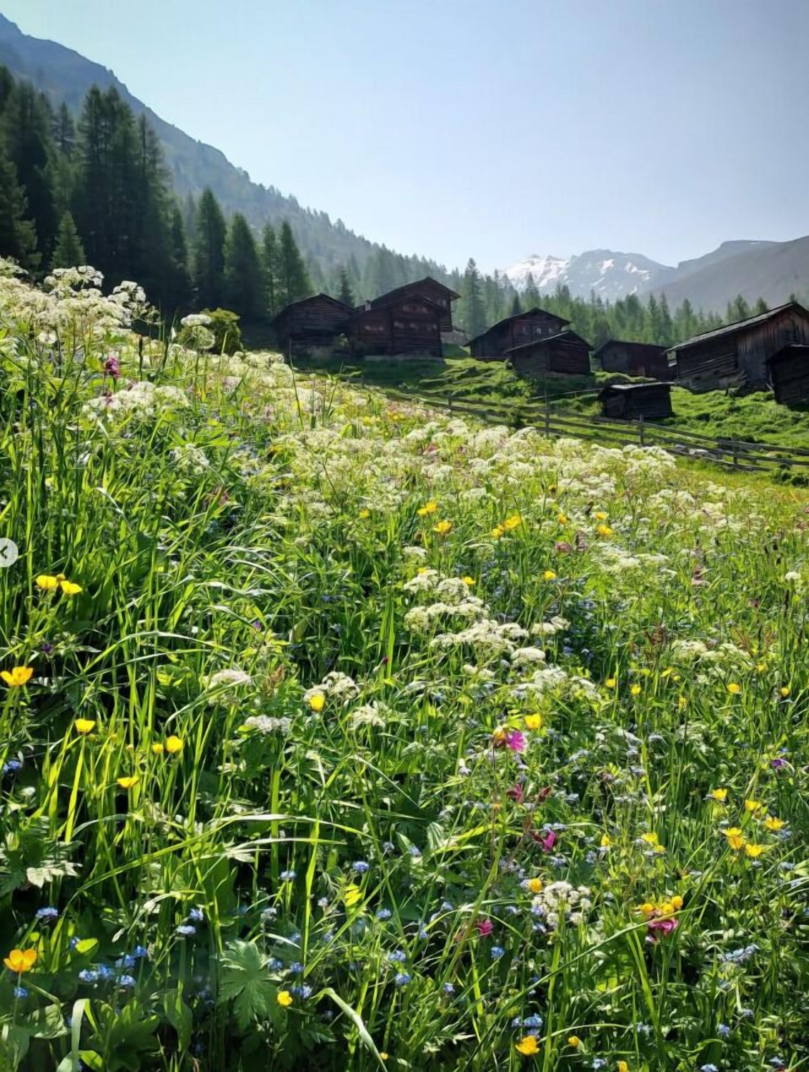 Foto - Kongress Hotel Davos