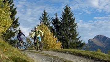 Two cyclists on a gravel path surrounded by trees and mountains.