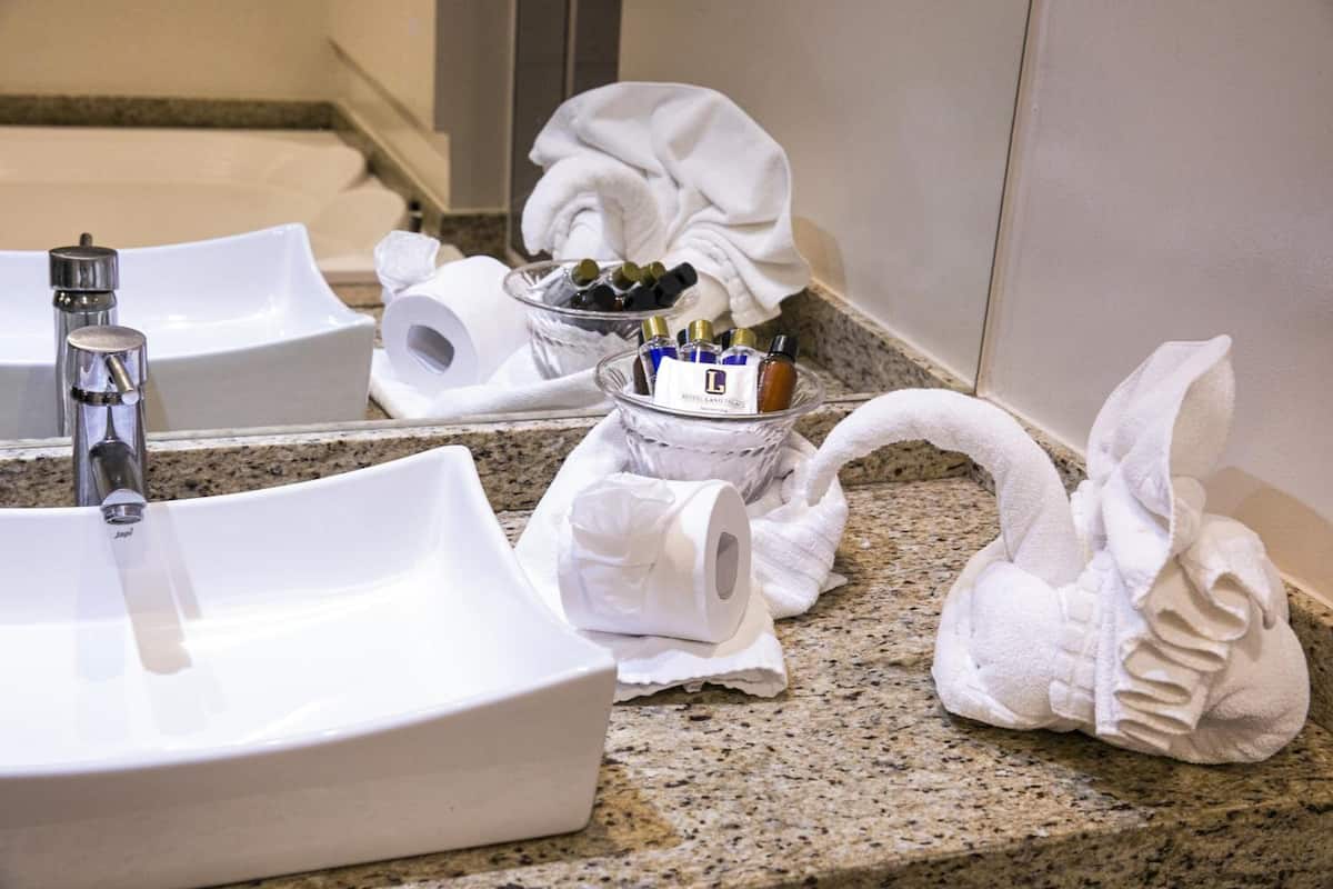 shower, free toiletries, hair dryer, bidet