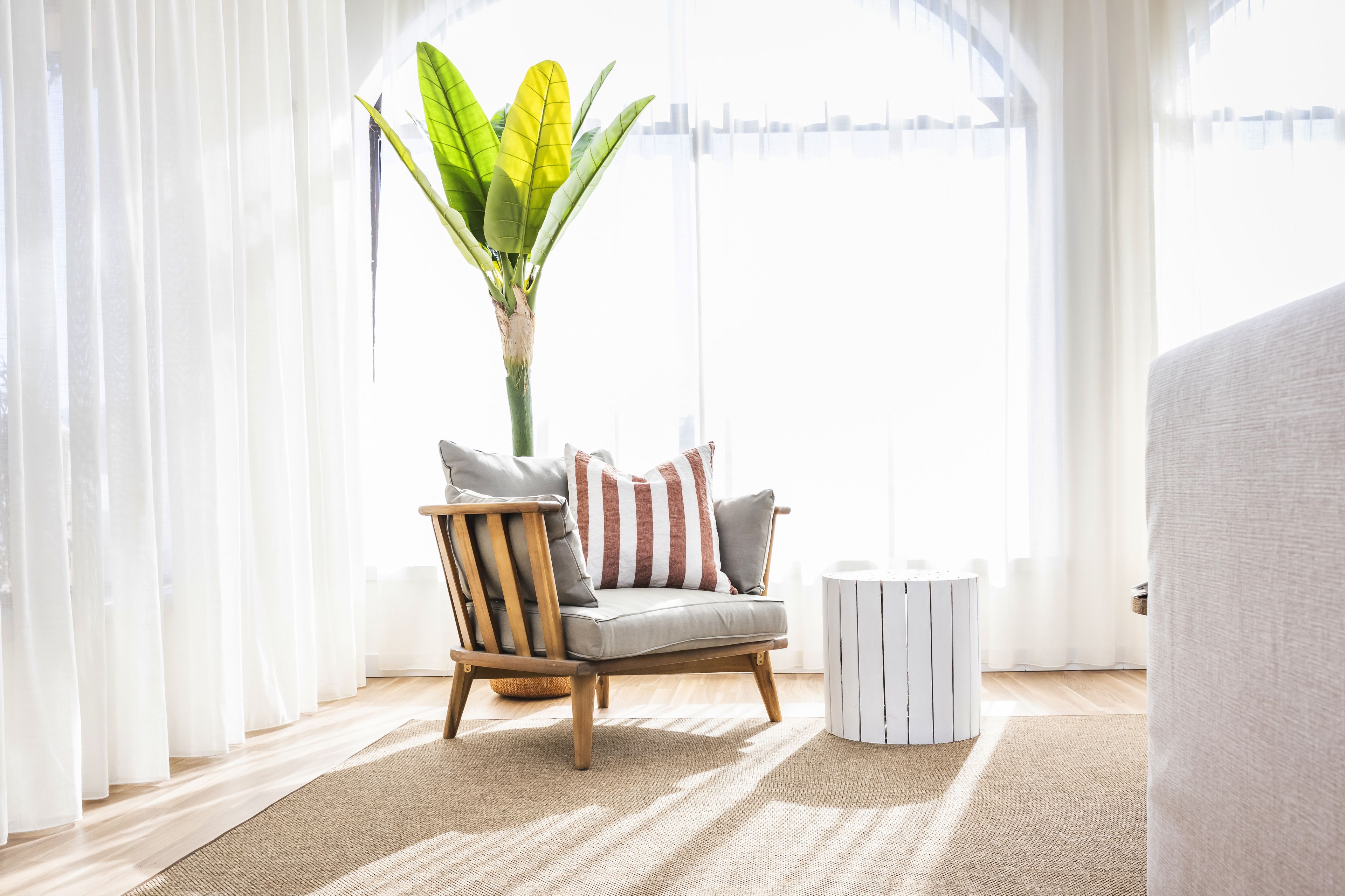 A living room with a wooden armchair, a small white side table, and a large plant.