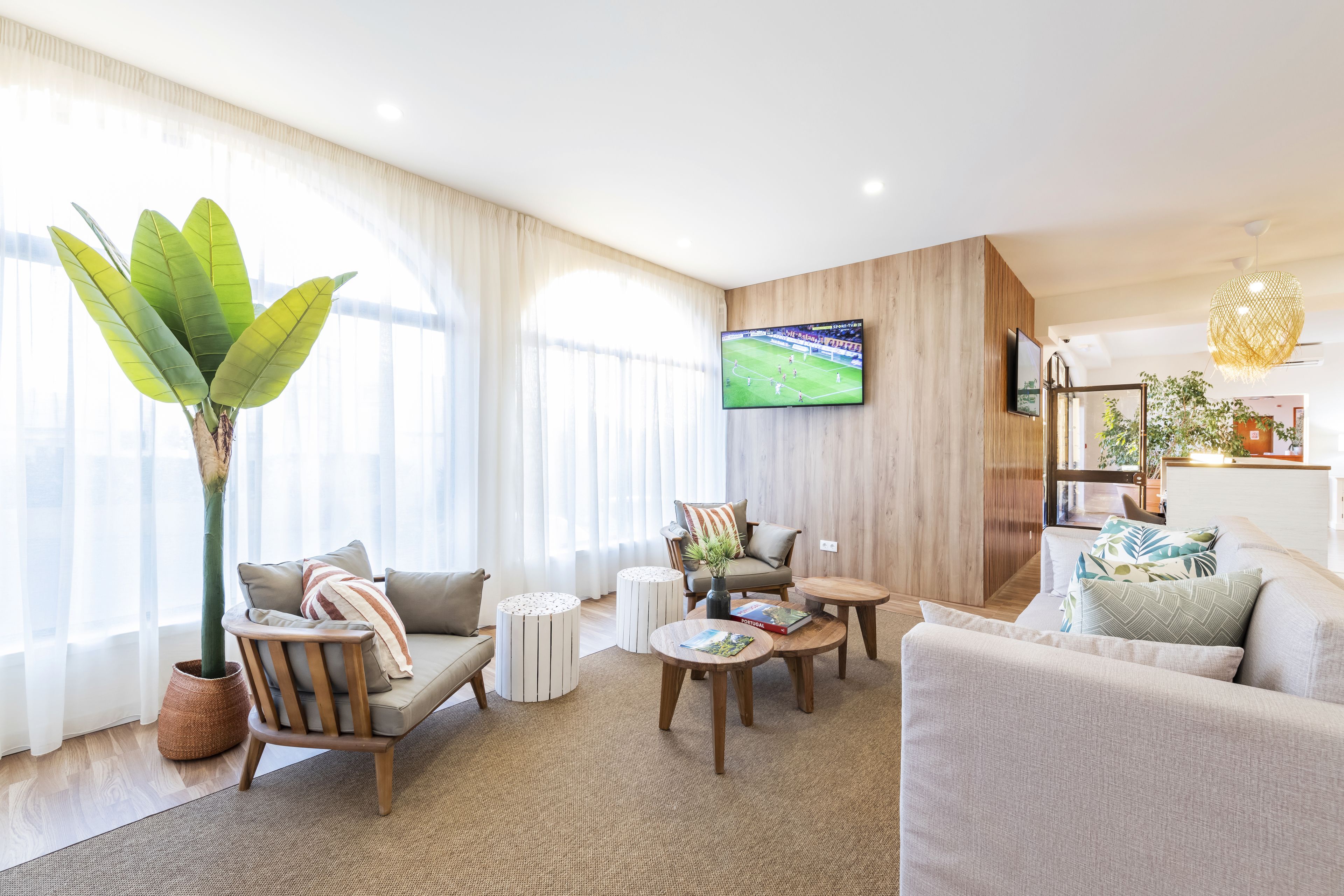 A modern living room with a large plant, a TV mounted on the wall, and a cozy seating area with a coffee table.