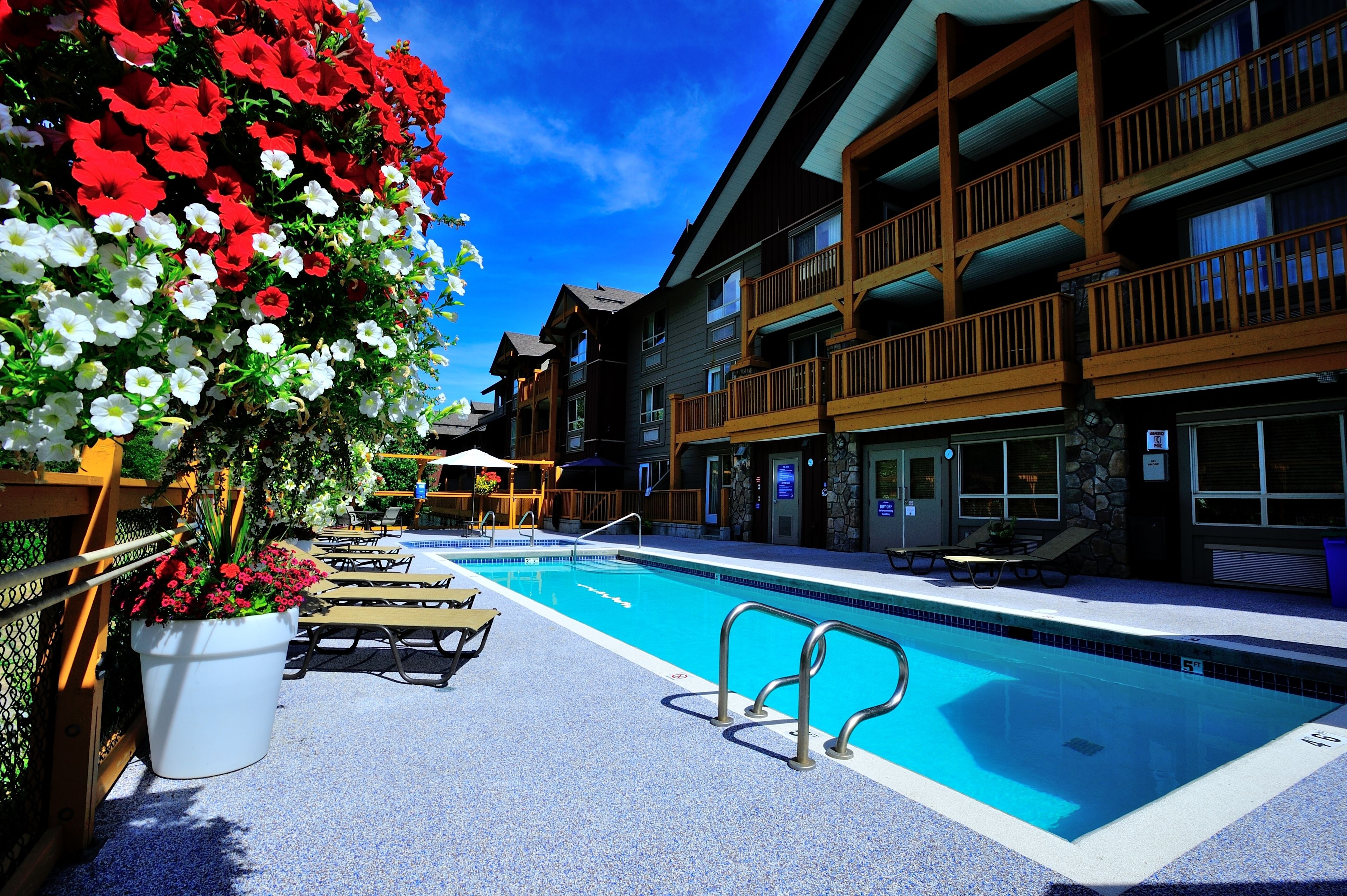 A pool area with lounge chairs and a flower pot.