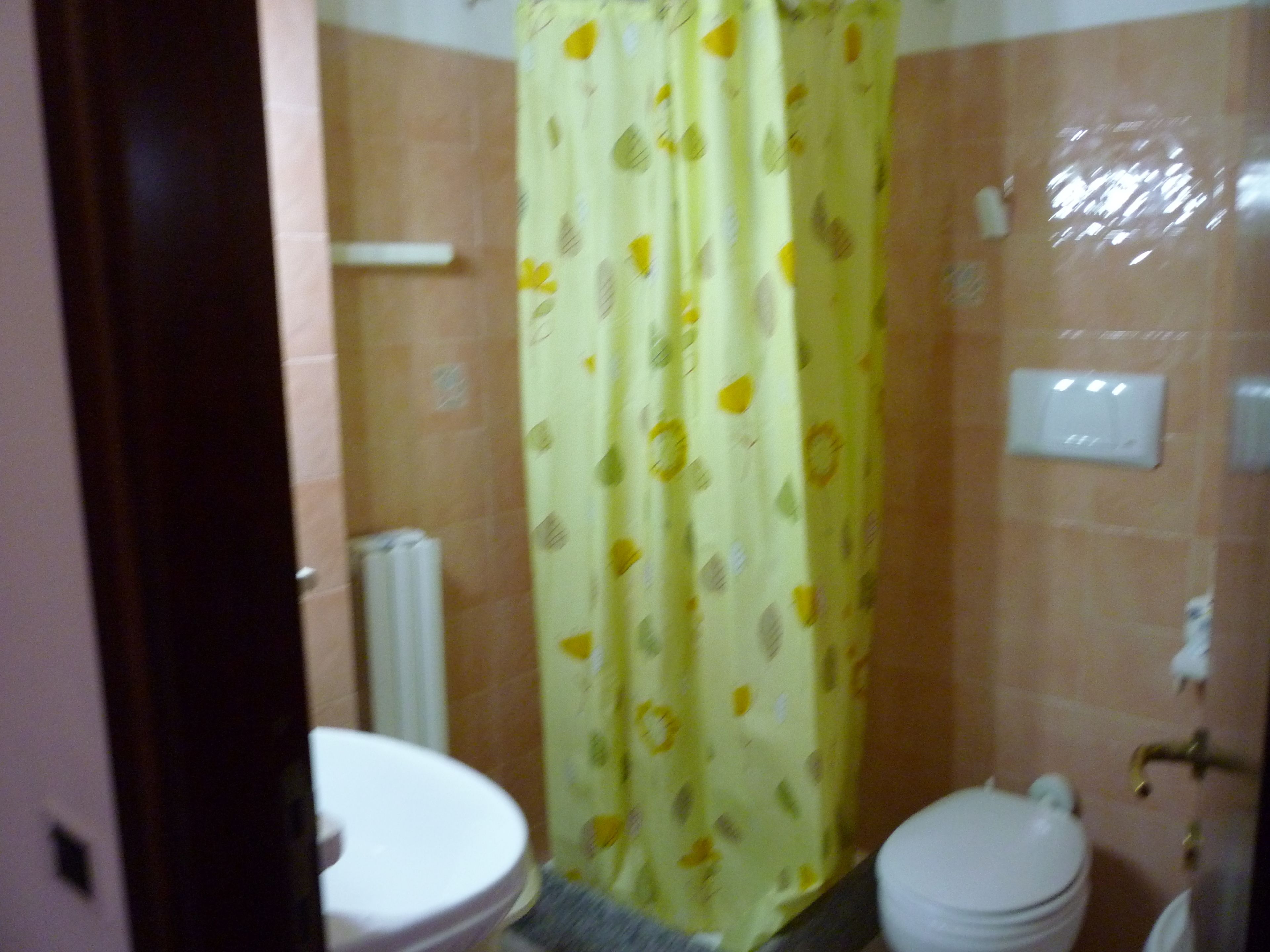 shower, free toiletries, hair dryer, slippers