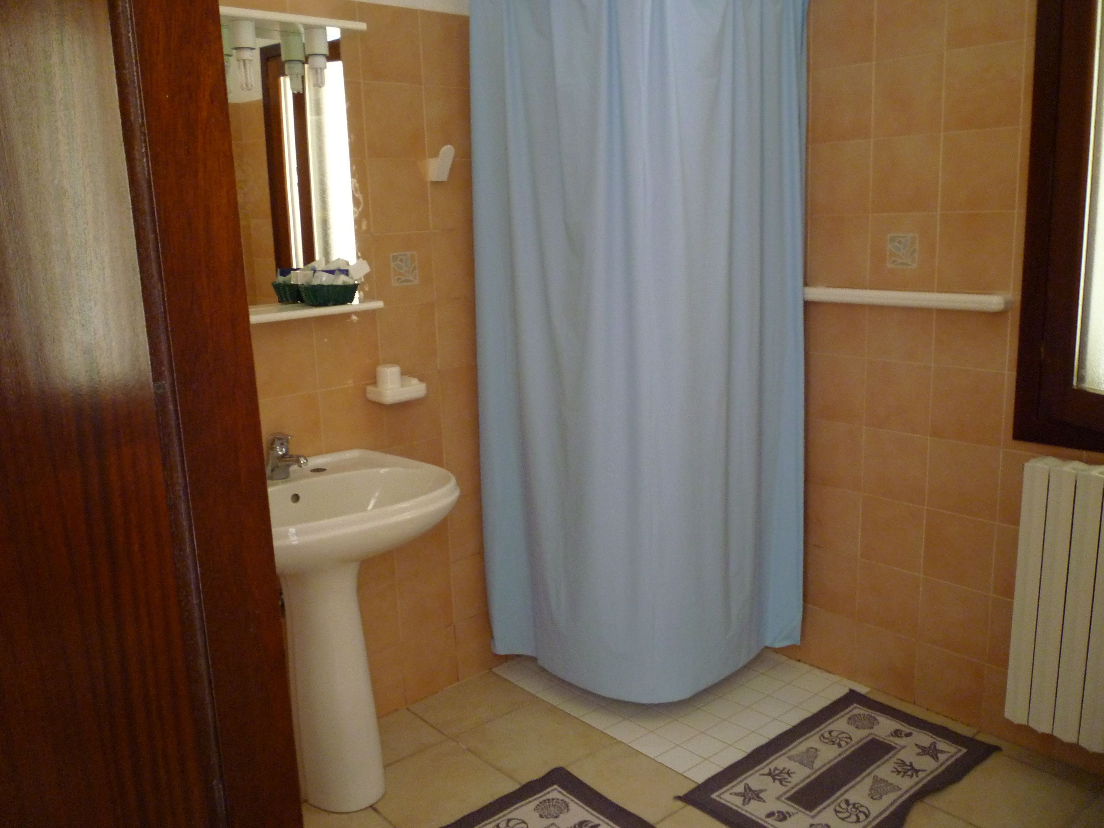 shower, free toiletries, hair dryer, slippers