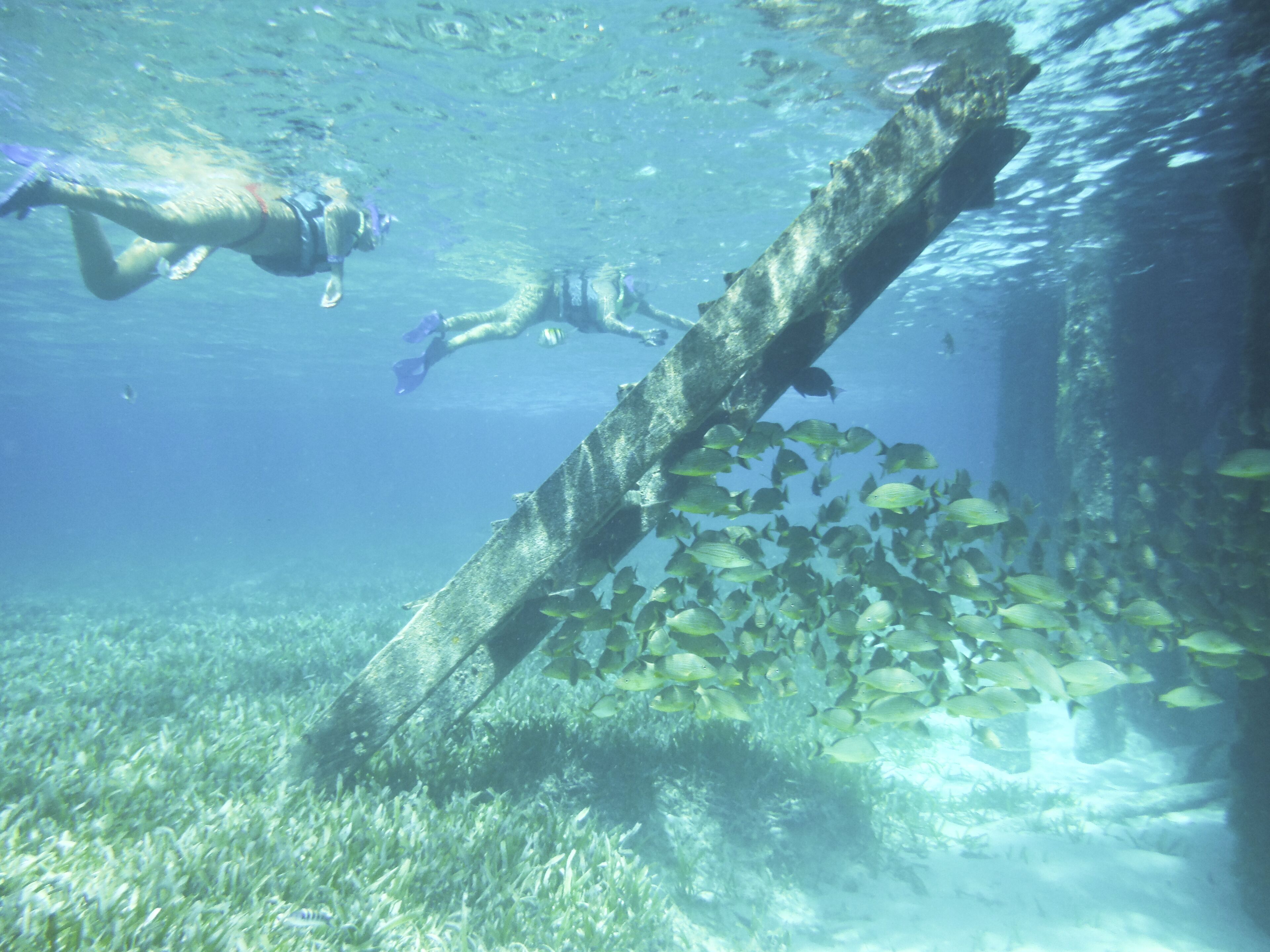 beach nearby, sun-loungers, beach umbrellas, beach towels
