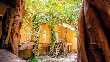 Habitación presidencial, 1 cama King size | Terraza o patio