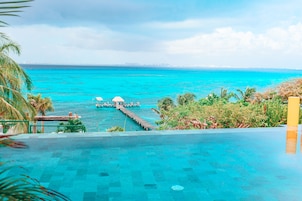 Vista desde la propiedad