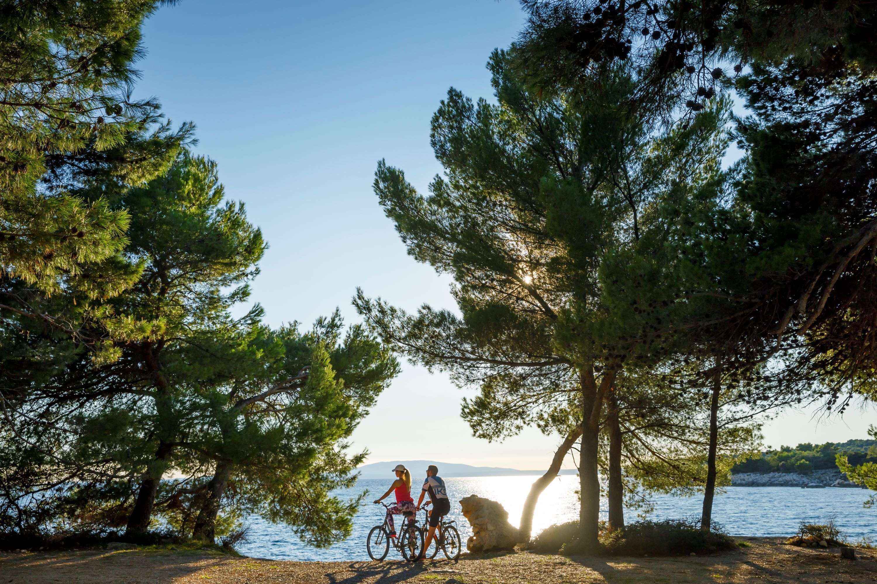 Two people on bicycles near a body of water, surrounded by trees.
