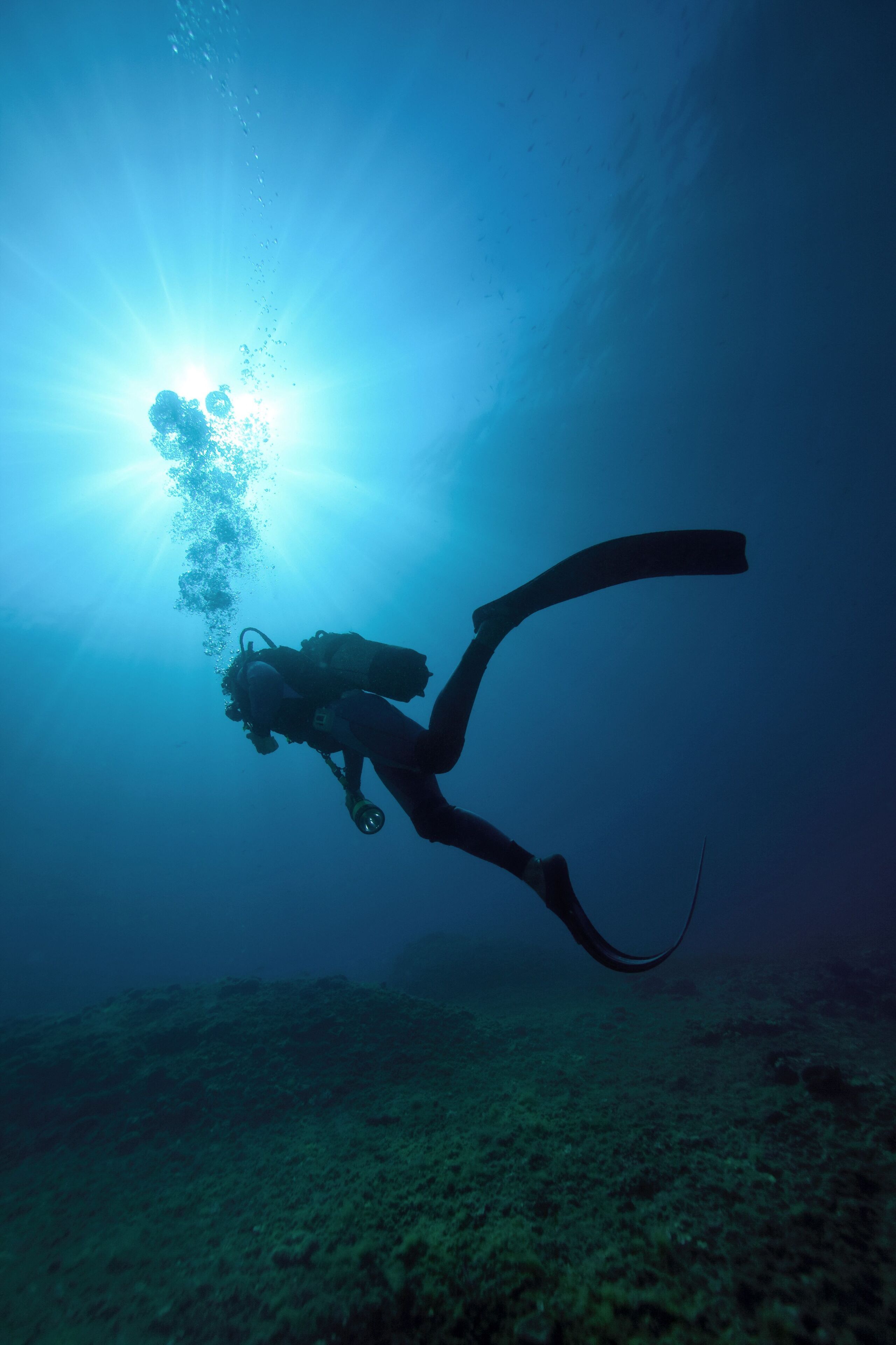 A diver underwater with a long snorkel and fins, surrounded by bubbles and sunlight filtering through the water.